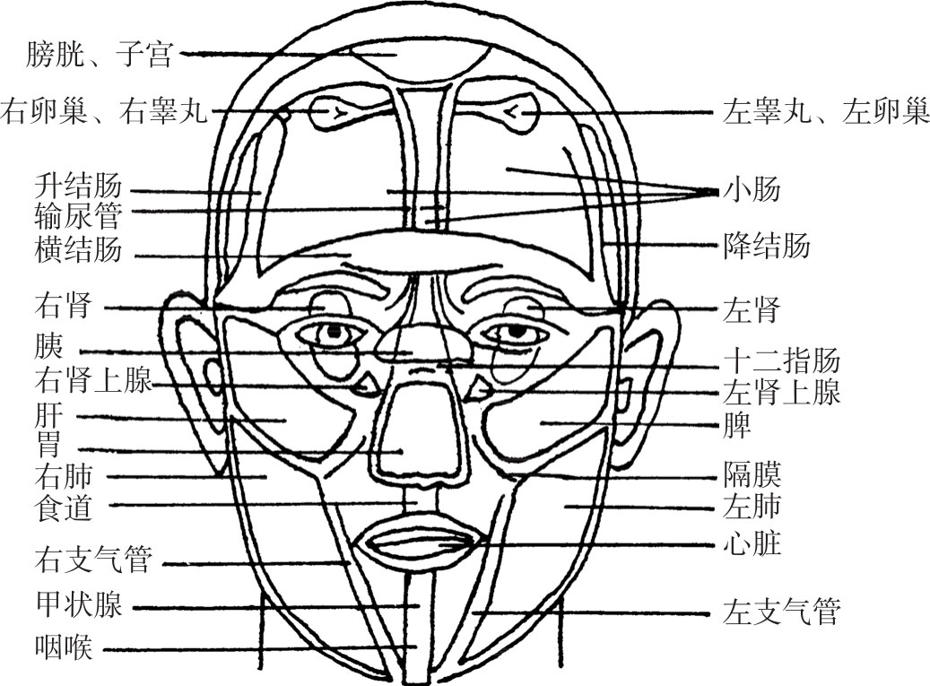 图1-9 面部望诊分属部位图(哥伦比亚)              〔27〕