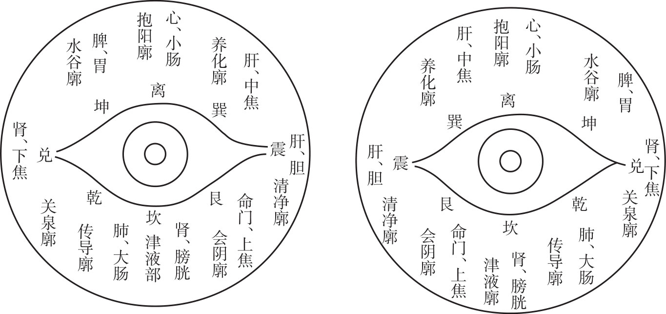 《中医局部特色诊法》