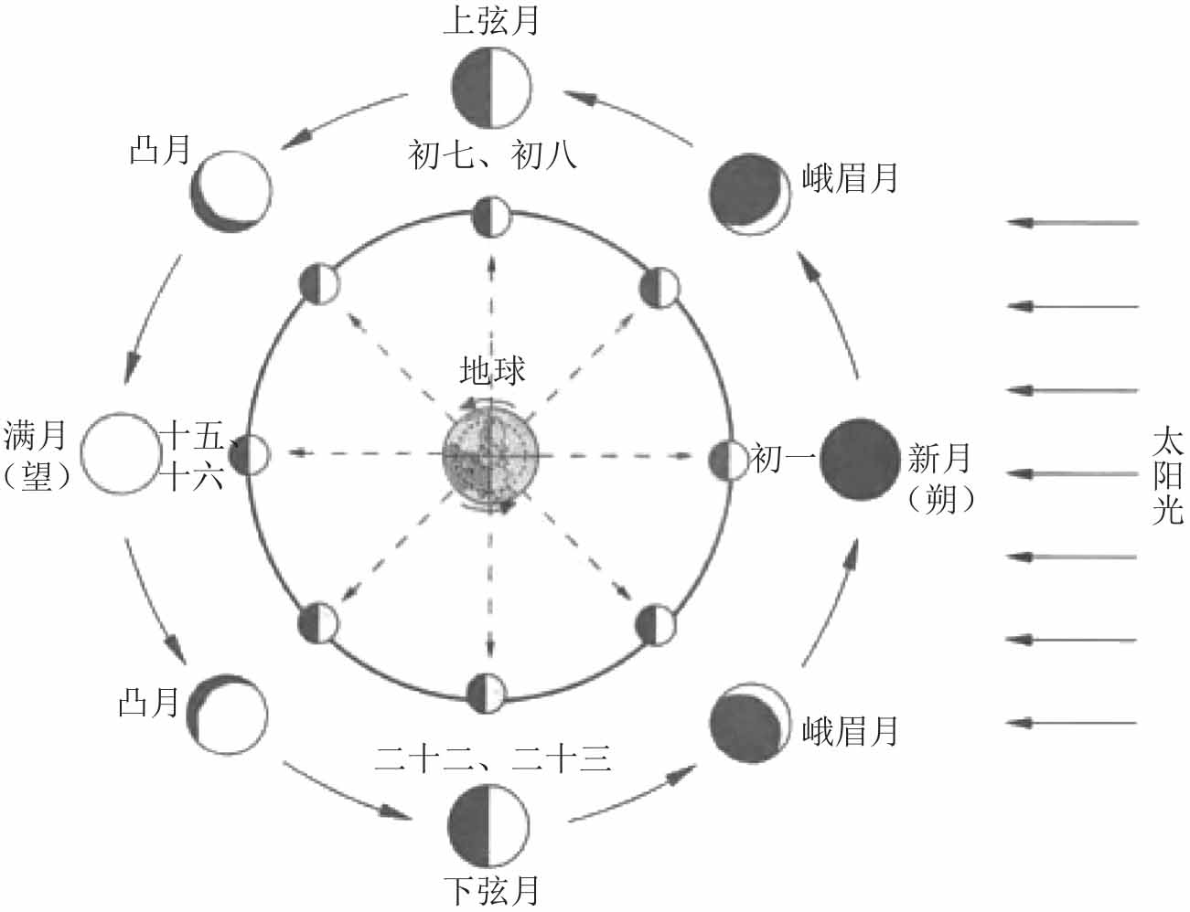 月相周期为30天,特定位置月亮的相位可以用月历来表示.