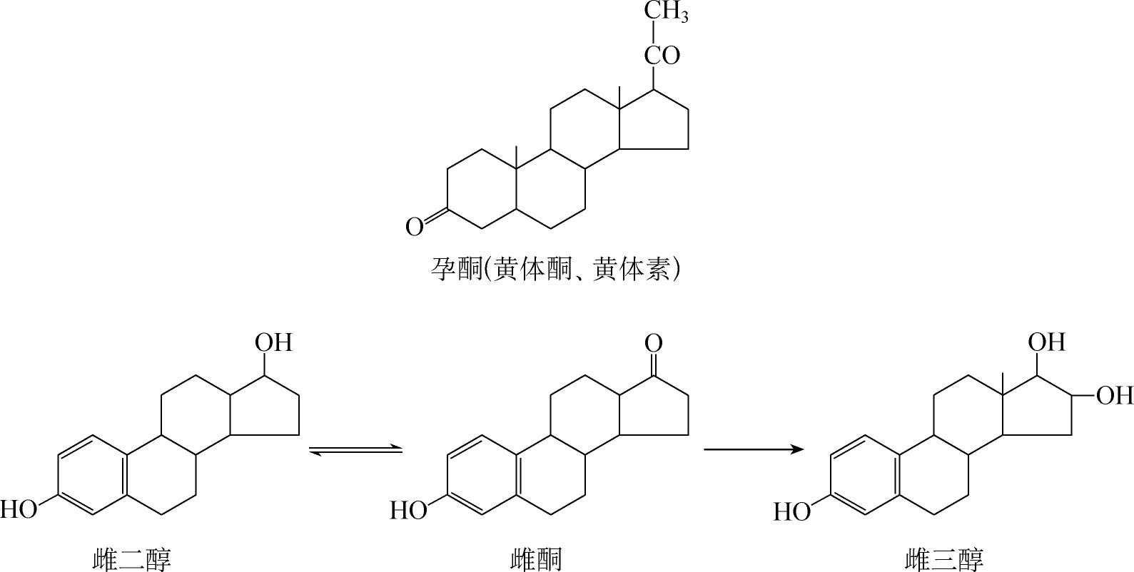 图3-8-4 雌激素及孕酮(黄体酮,黄体