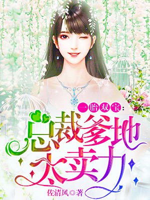 一胎双宝总裁爹地太卖力