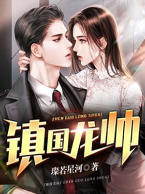镇国龙帅
