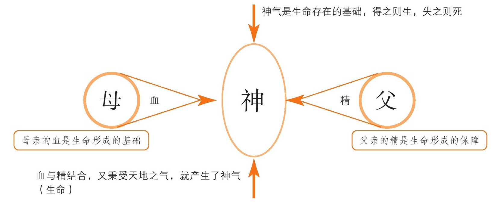 figure_0040_0016