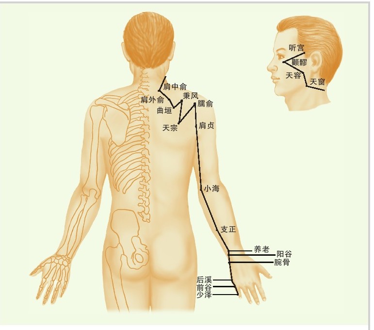 figure_0057_0031