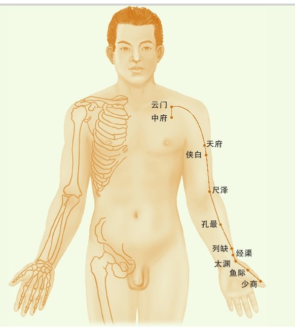 figure_0080_0051