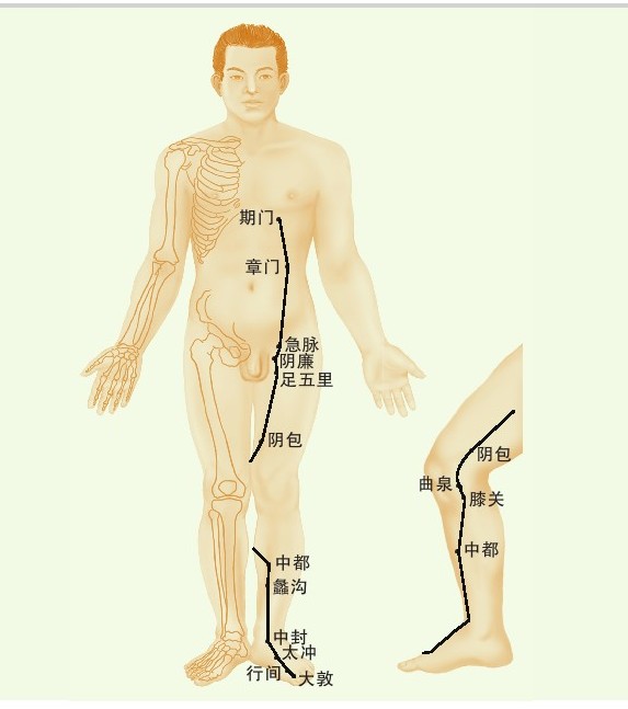 figure_0067_0041