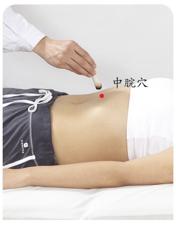 教你活到100岁最新章节_杨力著