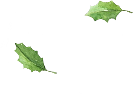 玫瑰引力2最新章节_林笛儿著