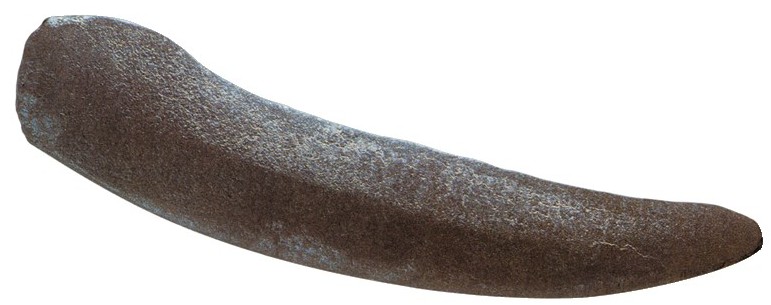 figure_0013_0002