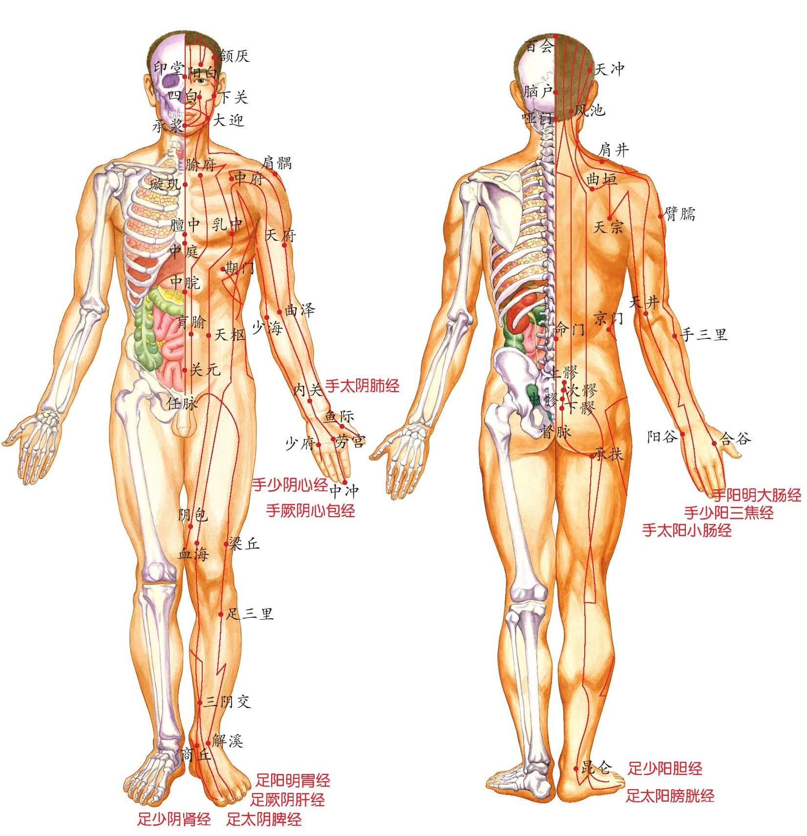 figure_0046_0021