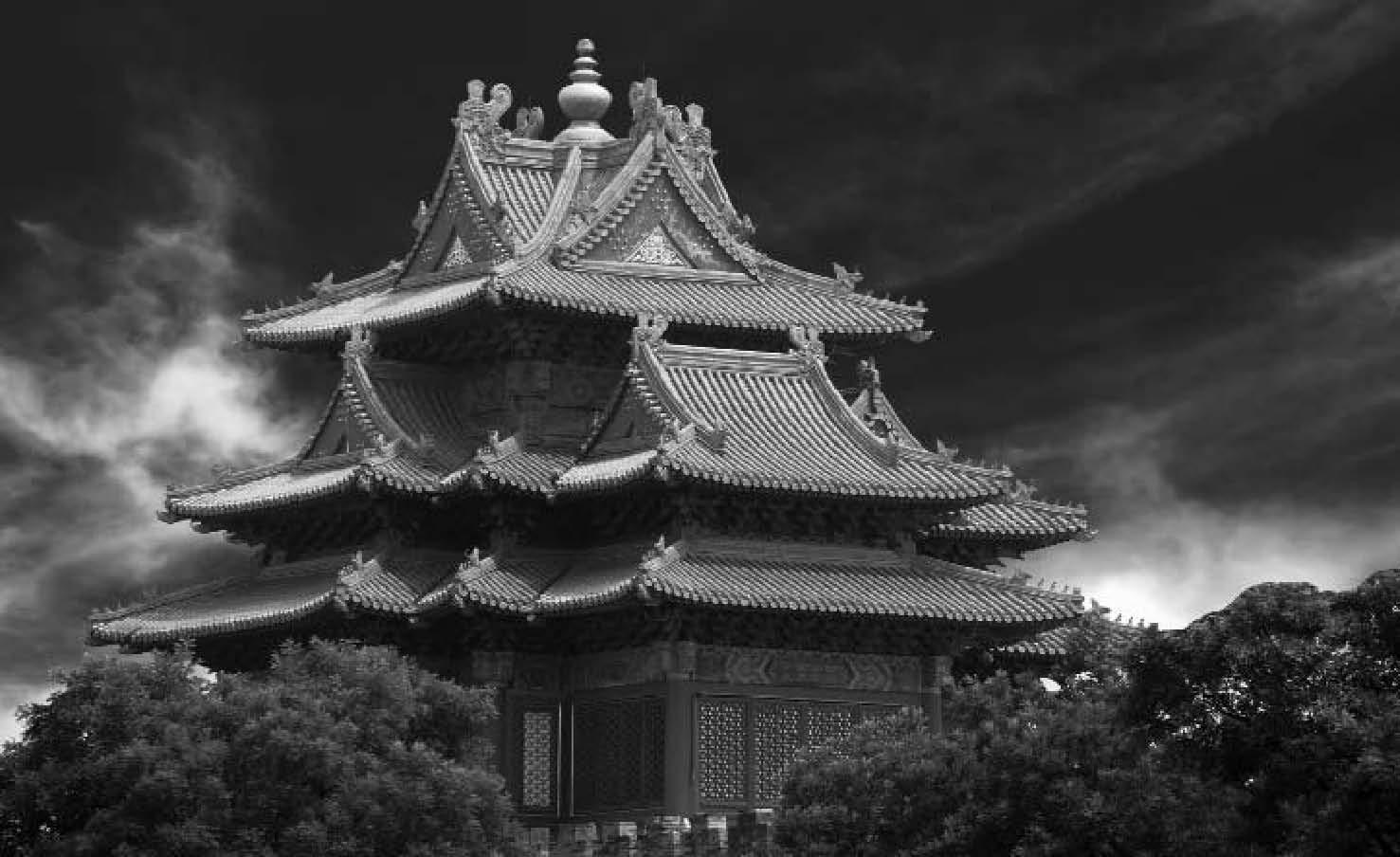 ZY14065_0016_01
