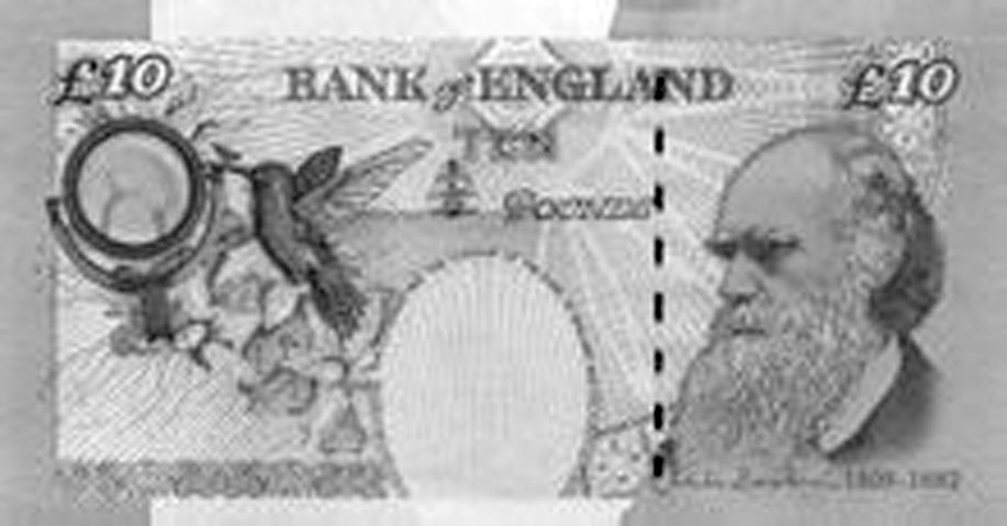 国际汇兑实务最新章节 杨青著 掌阅小说网 国际汇兑实务最新章节 杨青著 掌阅小说网