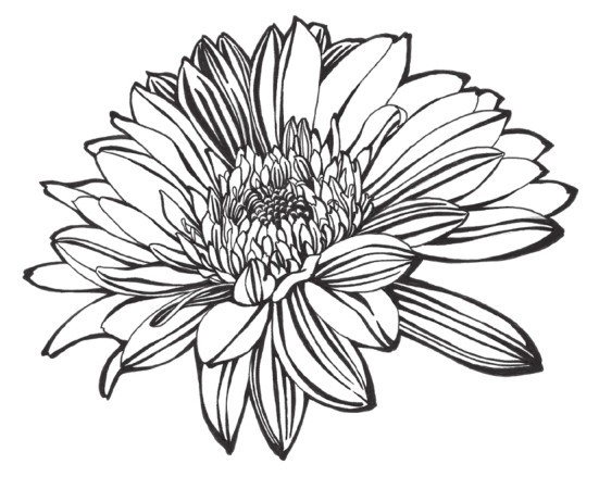 线画的画面相较于点更为硬朗,层次感较强,线条比点更具力量感,能