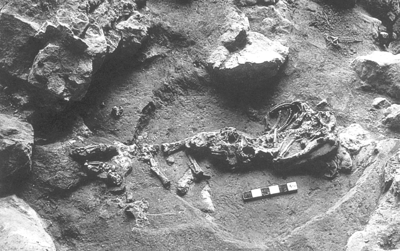 悦读坊 考古未解之谜最新章节 马兰著 掌阅小说网 悦读坊 考古未解之谜最新章节 马兰著 掌阅小说网