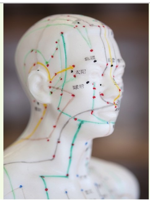 figure_0044_0019