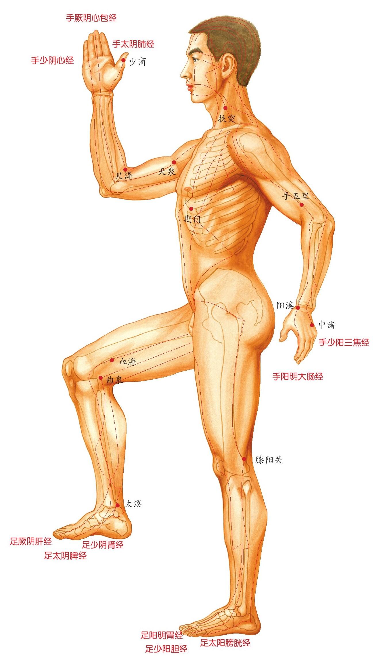 figure_0047_0022