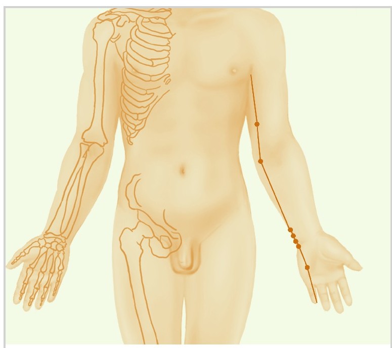 figure_0053_0028