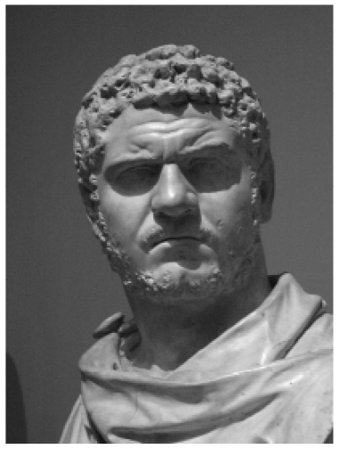 图23 罗马皇帝卡拉卡拉的半身塑像