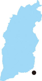 p01