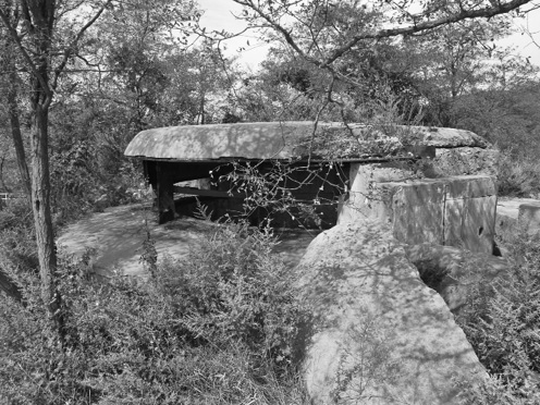 晚清三国 文武北洋 李洁实地历史系列 最新章节 李洁著 掌阅小说网