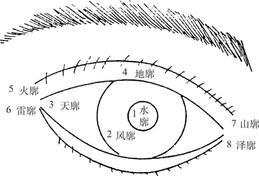 中医局部特色诊法最新章节_彭清华著_掌阅小说网