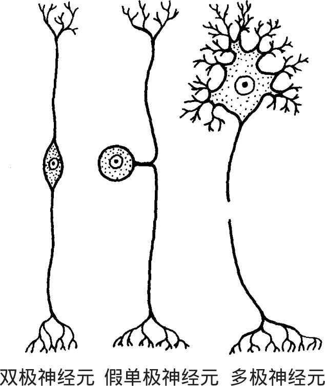 人工智能电影照片_电影人工智能剧照高清_人工智能剧照