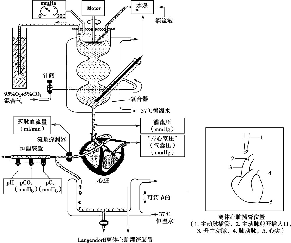 《中药药效研究方法学》