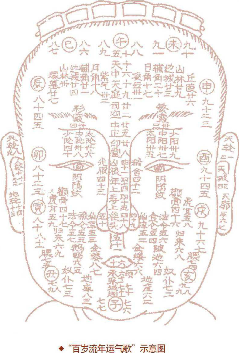 相术探秘最新章节_《书立方》编委会编著_掌阅小说网