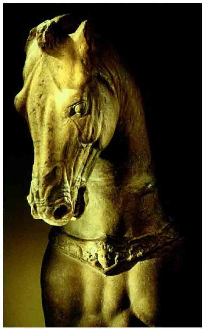figure_0042_0022