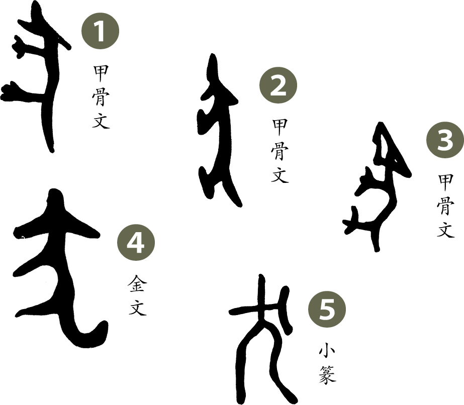 这个字 原来是这个意思 你不可不知的100个最美丽的汉字最新章节 许晖著 掌阅小说网 这个字 原来是这个意思 你不可不知的100个最美丽的汉字最新章节 许晖著 掌阅小说网