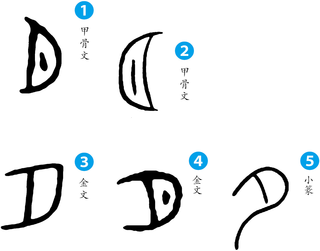 这个字 原来是这个意思 100个汉字中的古代风俗史最新章节 许晖著 掌阅小说网