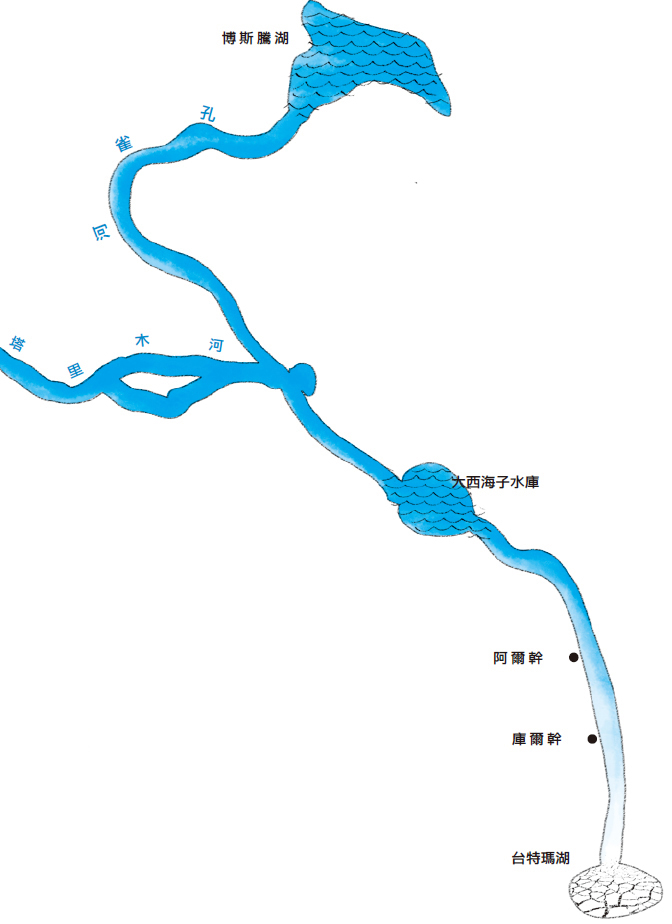 水库以下的363公里河道因而断流,台特玛湖乾涸,大批的胡扬林及红柳