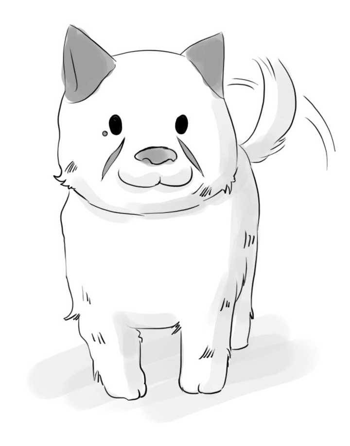 注音读物·流浪狗丢丢(阳光女生杜小默)最新章节_葛欣著_掌阅小说网