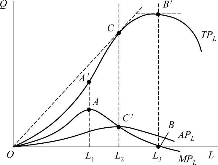 图4-2 短期生产函数曲线