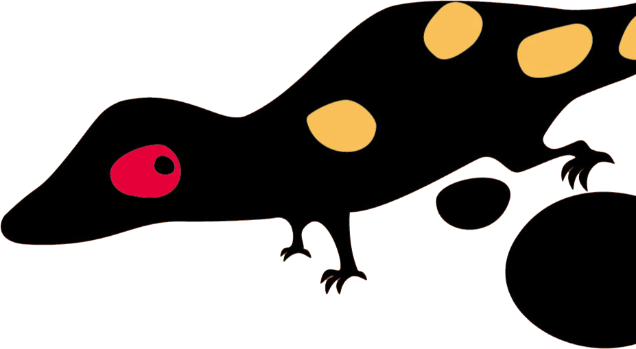 洞最新章节_路易斯·萨奇尔著