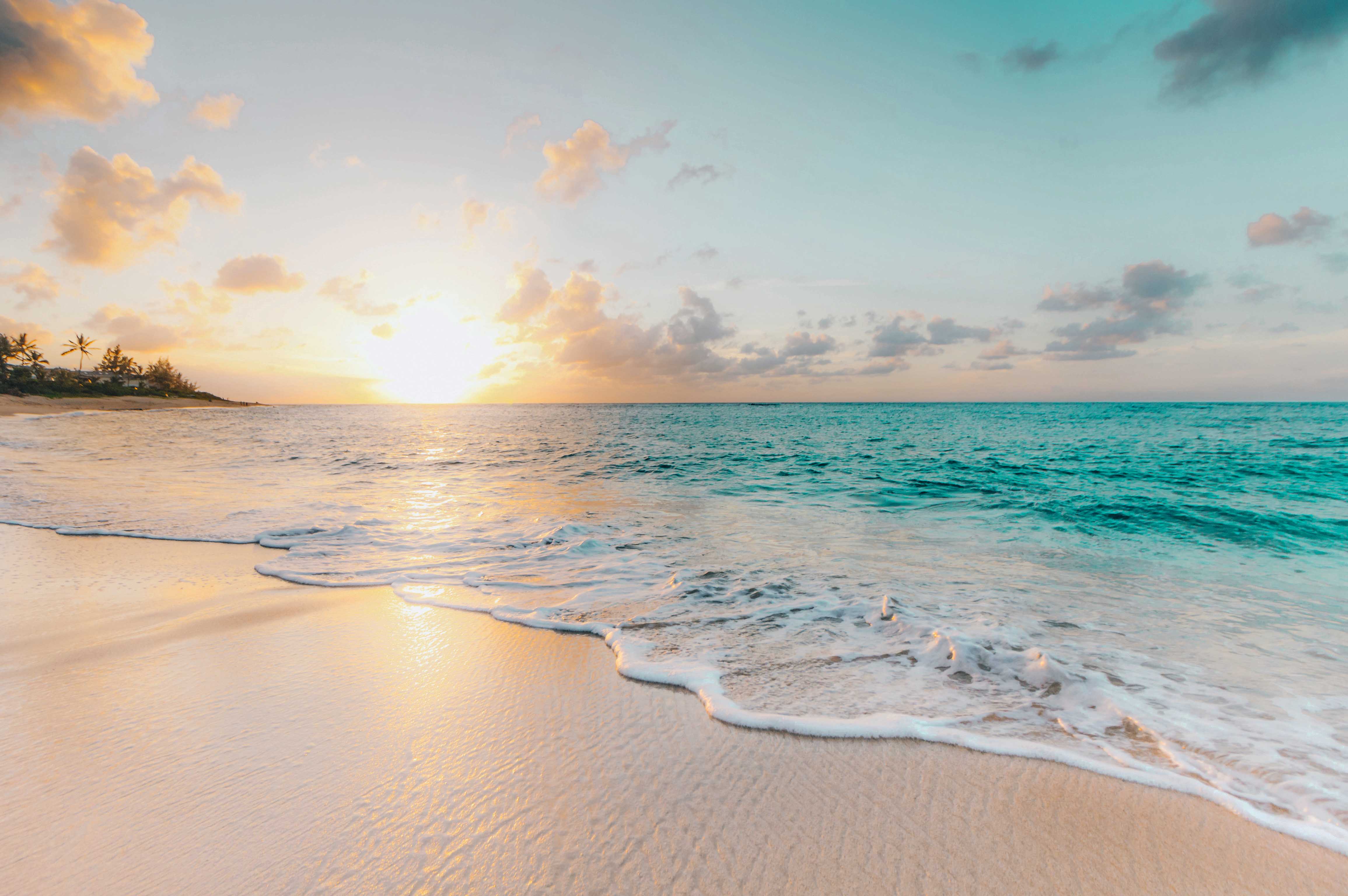 海洋疗法:舒缓压力的疗愈力量最新章节_黛博拉·克拉克内尔著_掌阅