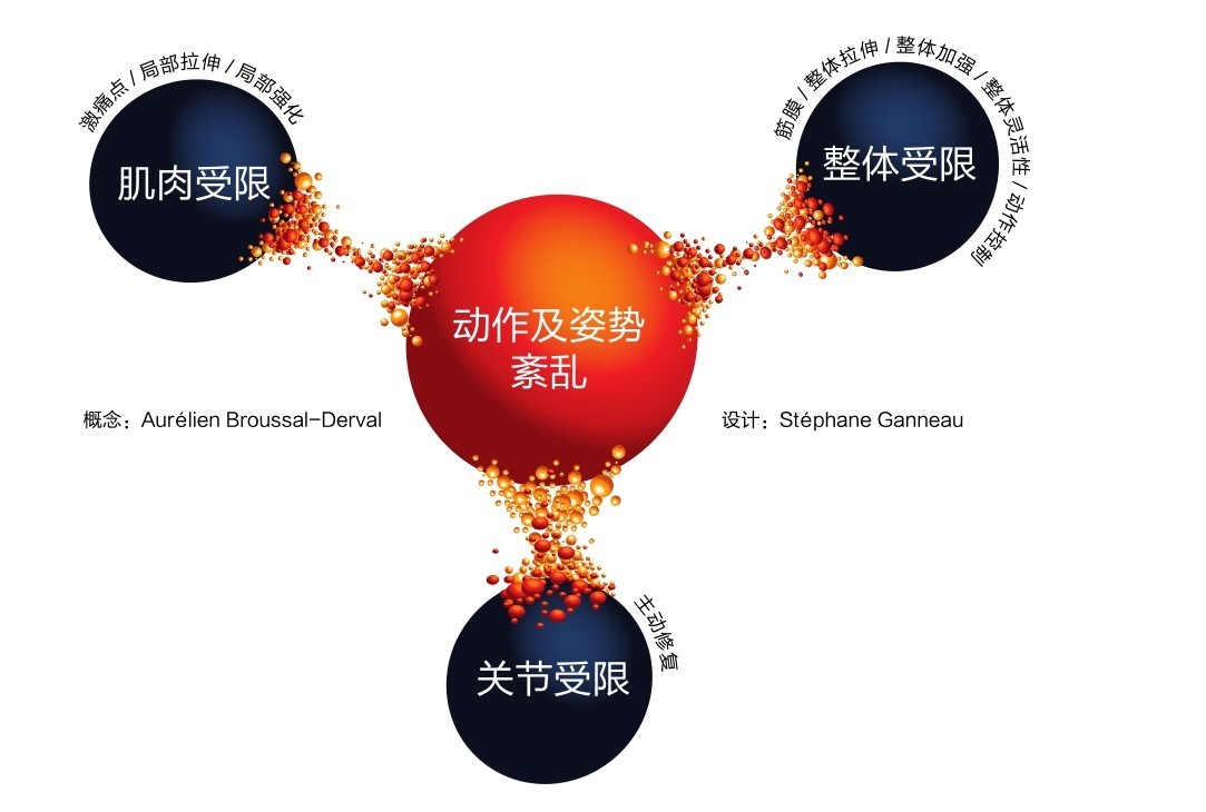 肌肉受限化激点/局部拉伸/局部强痛制控体灵活性作动/整体受限筋膜整体拉伸/整体加强/整/动作及姿势紊乱概念：Aurélien Broussal-Derval 设计：Stéphane Ganneau主动修复关节受限