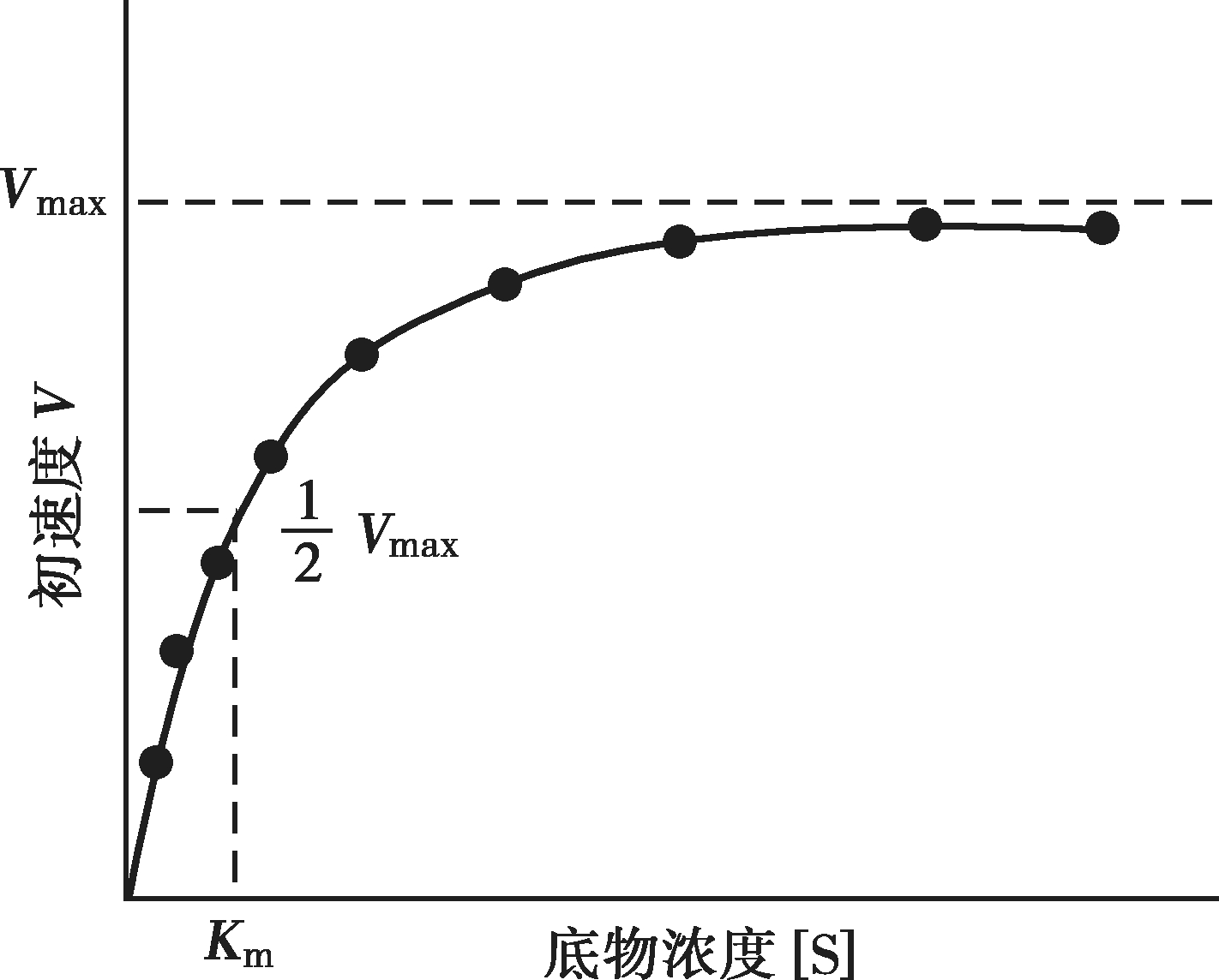 圖4-9 底物濃度對酶促反應速度的影響