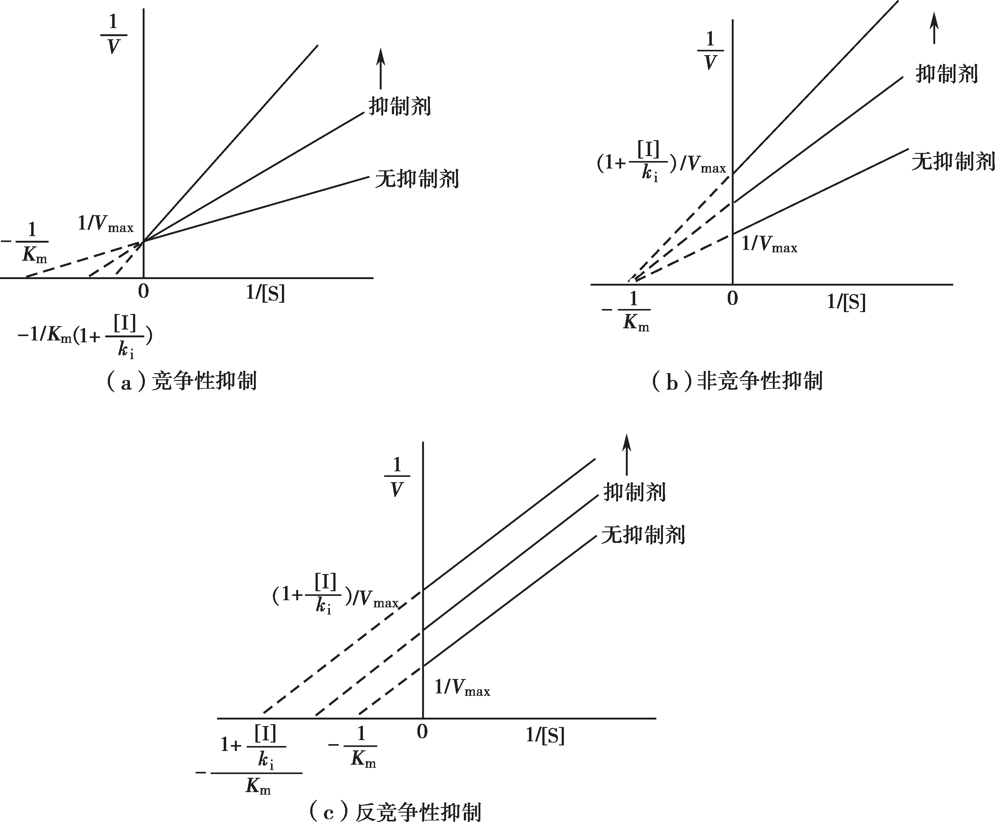 ②抑制劑只能與酶-底物複合物(es)結合;③抑制作用的強弱取決於抑制劑