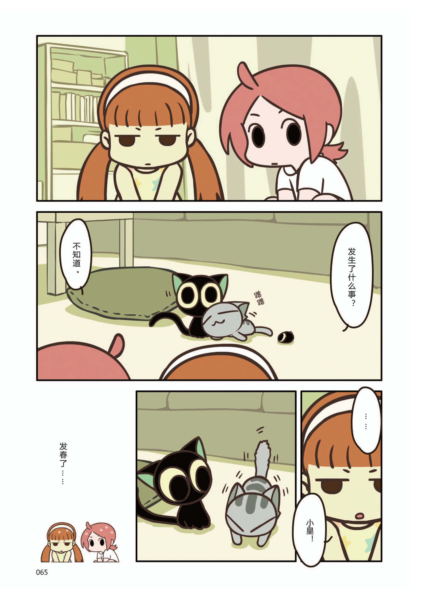 p65