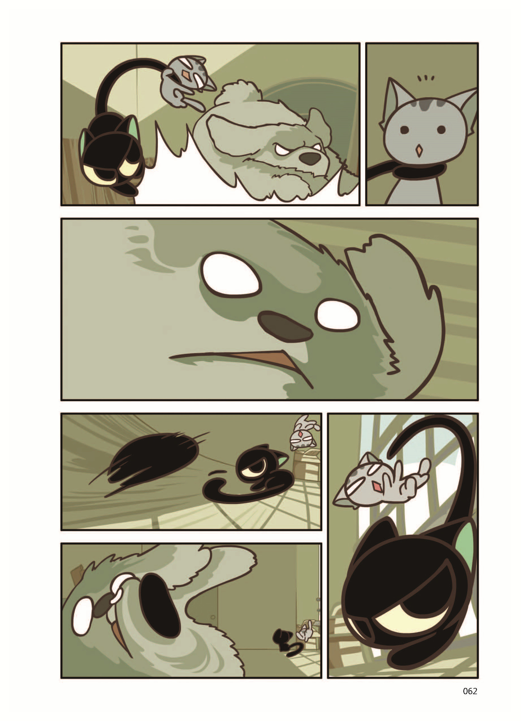 p62
