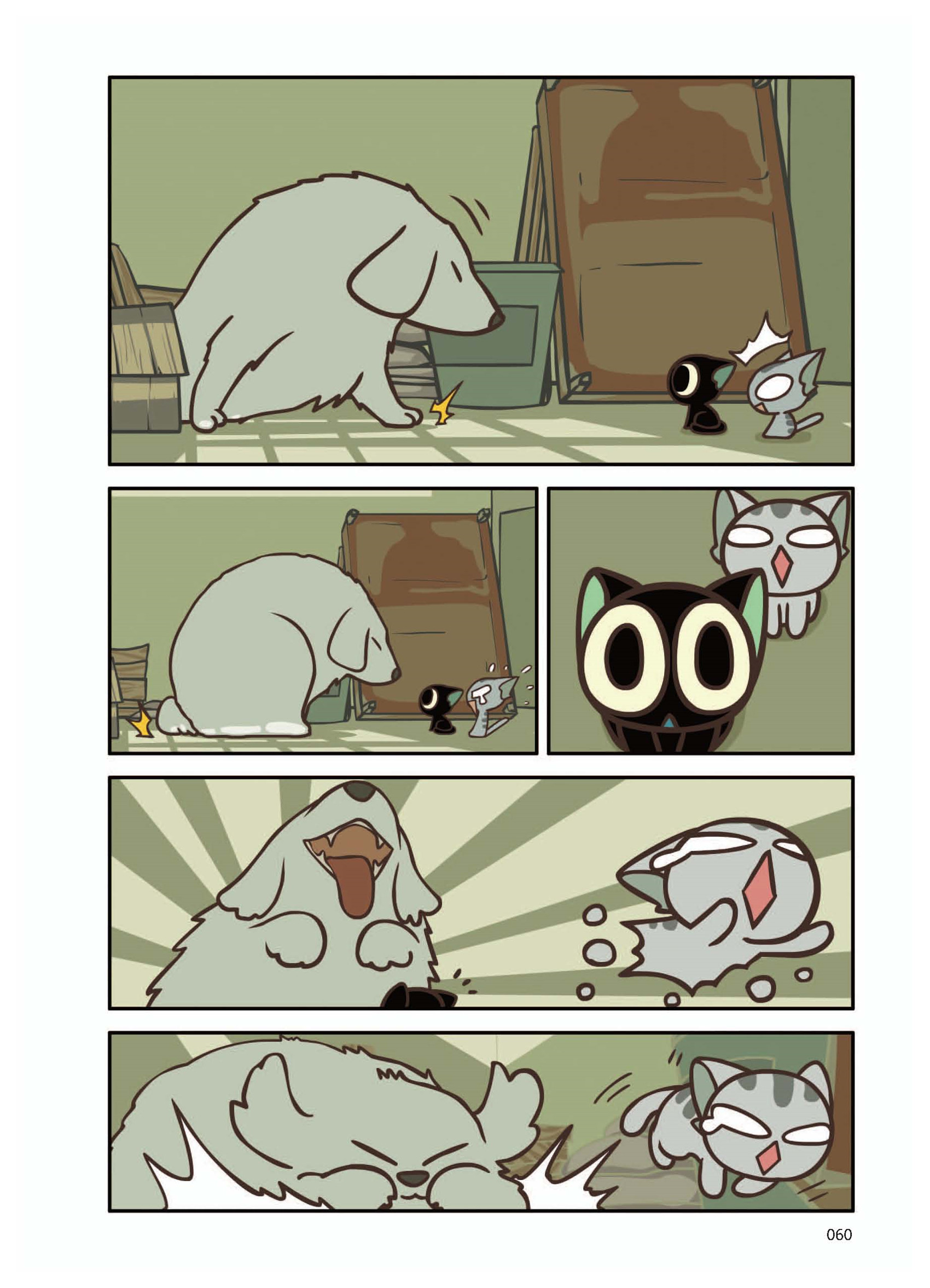p60