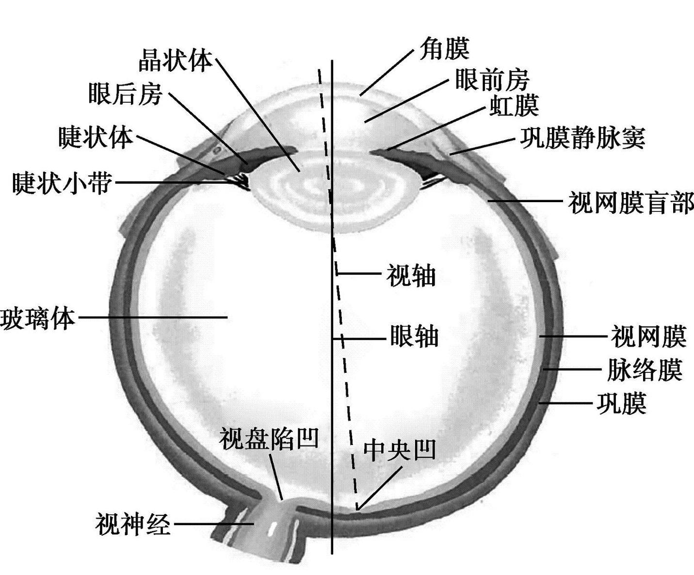 《中国营养科学全书(第2版·全2册)》
