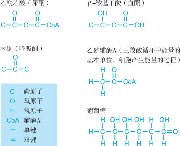 这些酮体主要是以β