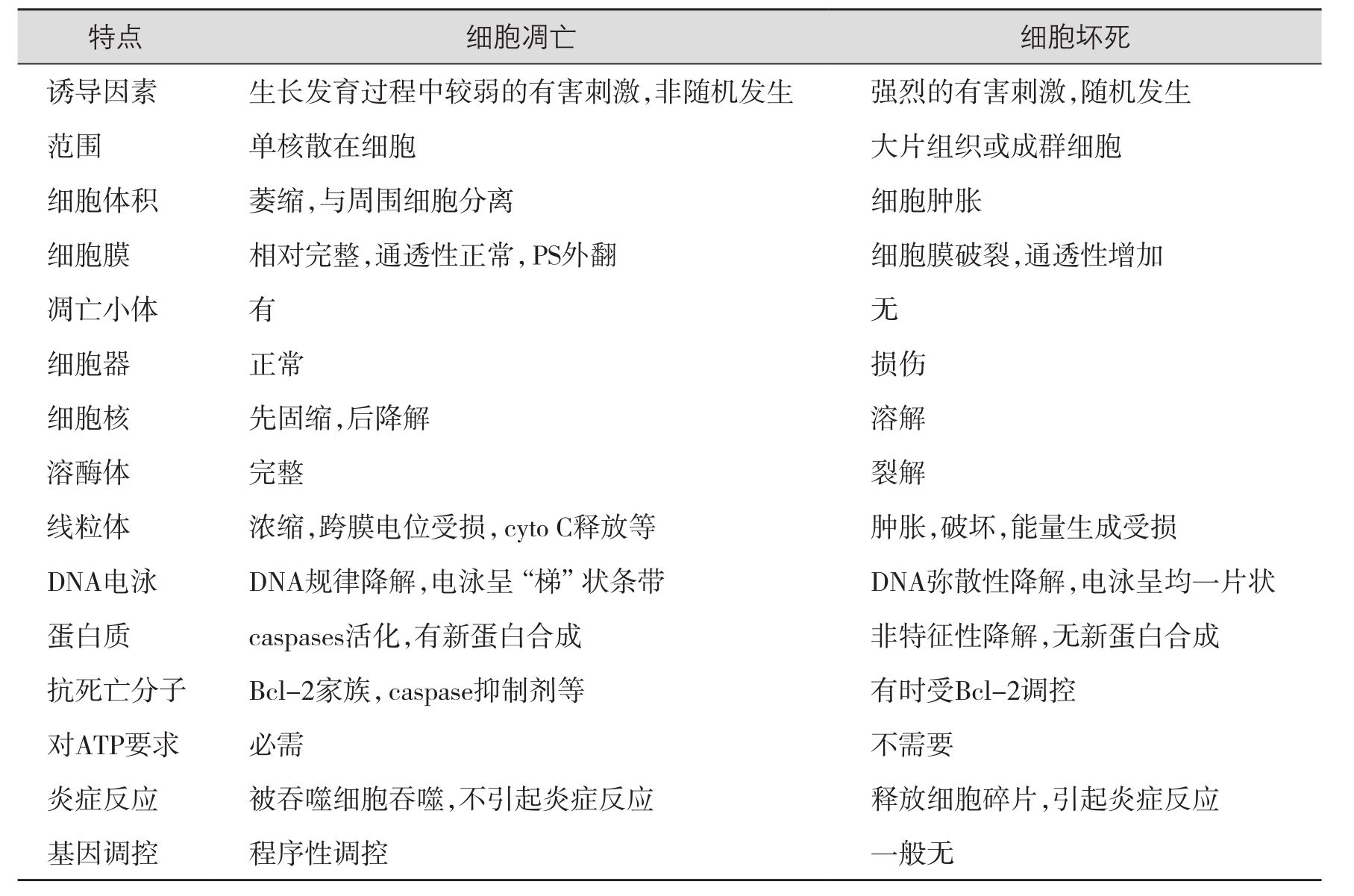 掌阅小说网