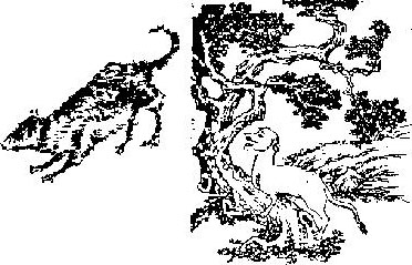 国学大书院19:山海经最新章节_佚名著_掌阅小说网