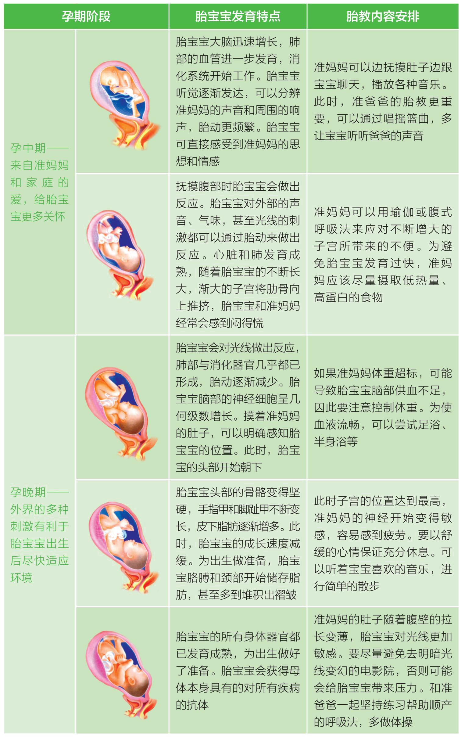 胎教的主要內容與方法有哪些?