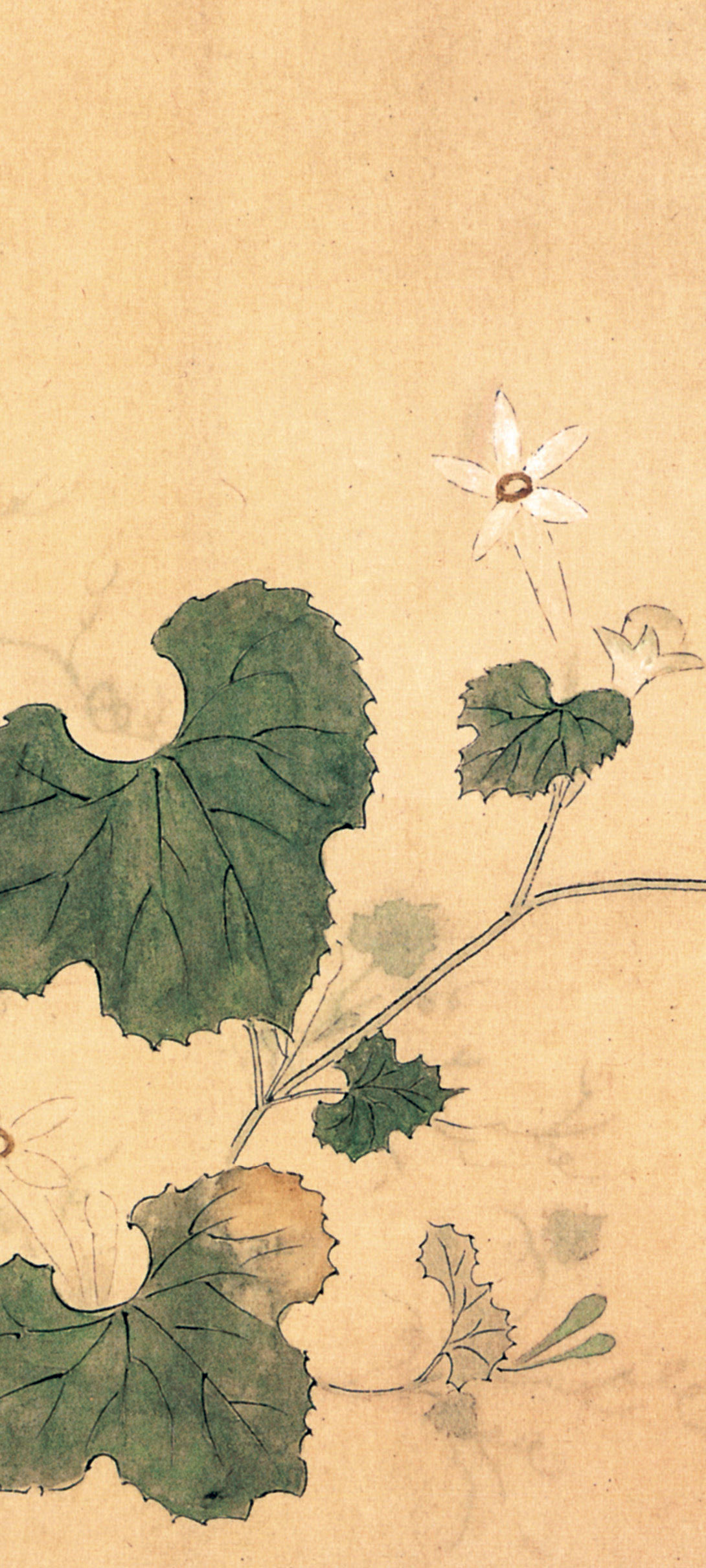 源氏物语 全译彩插珍藏版 套装共2册 有日本 红缕梦 之称 比 红楼梦 成书早700年 最新章节 紫式部著 掌阅小说网