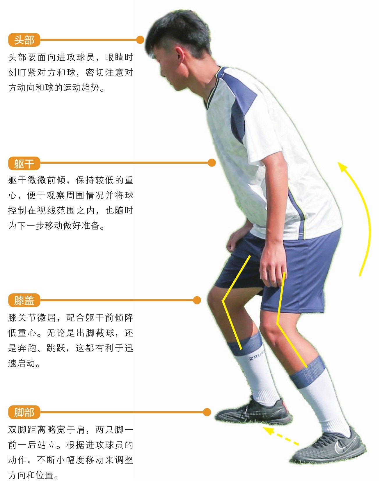 头部躯干膝盖脚部头部要面向进攻球员，眼睛时刻盯紧对方和球，密切注意对方动向和球的运动趋势。躯干微微前倾，保持较低的重心，便于观察周围情况并将球控制在视线范围之内，也随时为下一步移动做好准备。膝关节微屈，配合躯干前倾降低重心。无论是出脚截球，还是奔跑、跳跃，这都有利于迅速启动。双脚距离略宽于肩，两只脚一前一后站立。根据进攻球员的动作，不断小幅度移动来调整方向和位置。