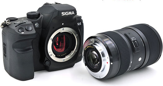 拍娃党的自白书最新章节_梁晓东著